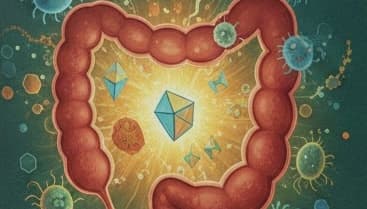 Dirençli Nişasta Rehberi: Bağırsak Mikrobiyotasının Gizli Süper Besini ve Metabolik Sağlık