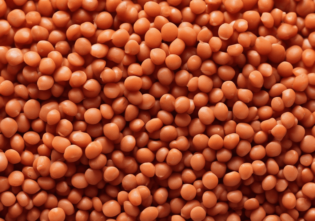 Kırmızı Mercimek, Çiğ