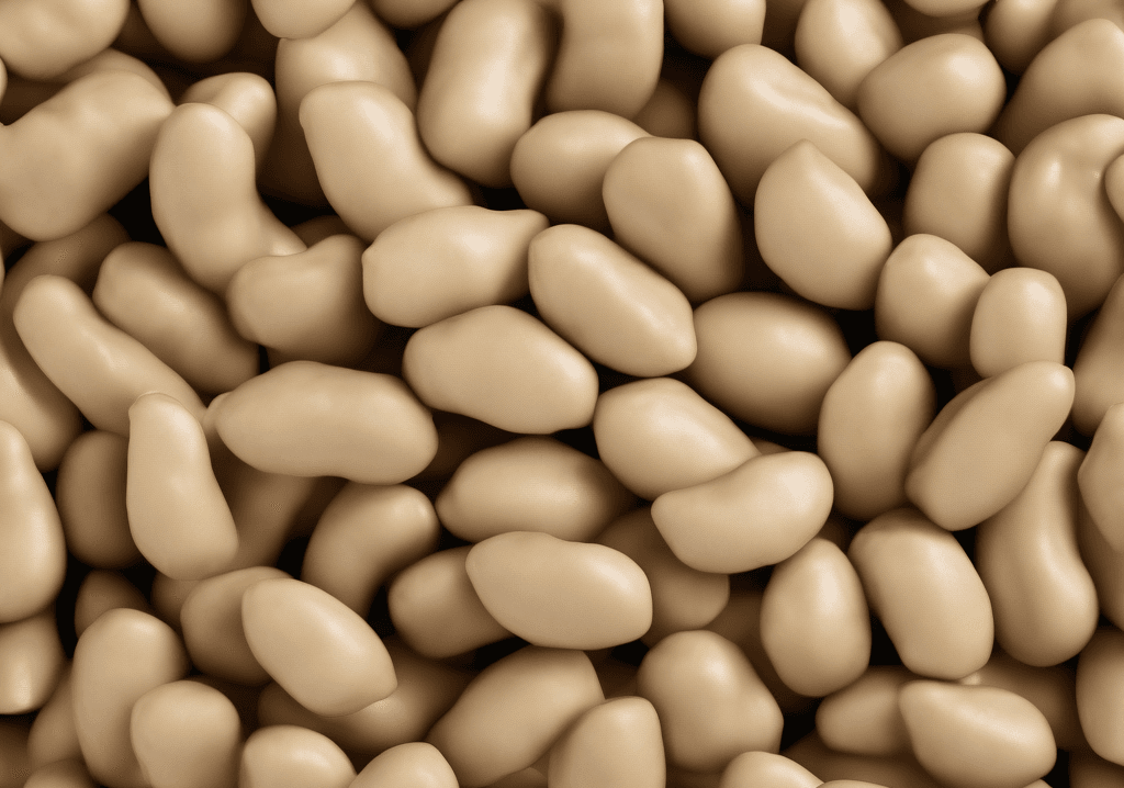 Soya Fasulyesi